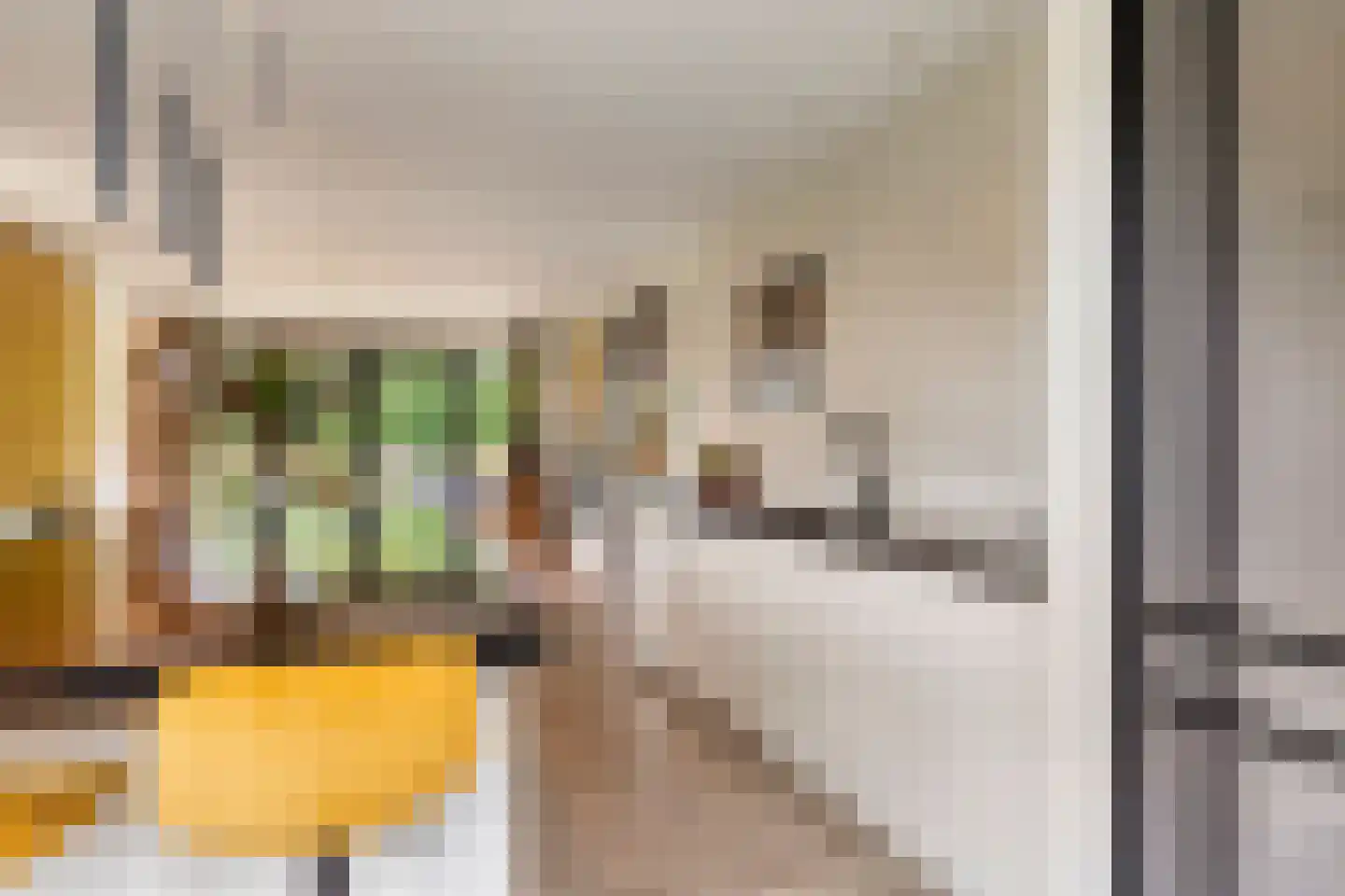 Broekhovenpad 2 Nieuwerbrug aan den Rijn thumbnail 23
