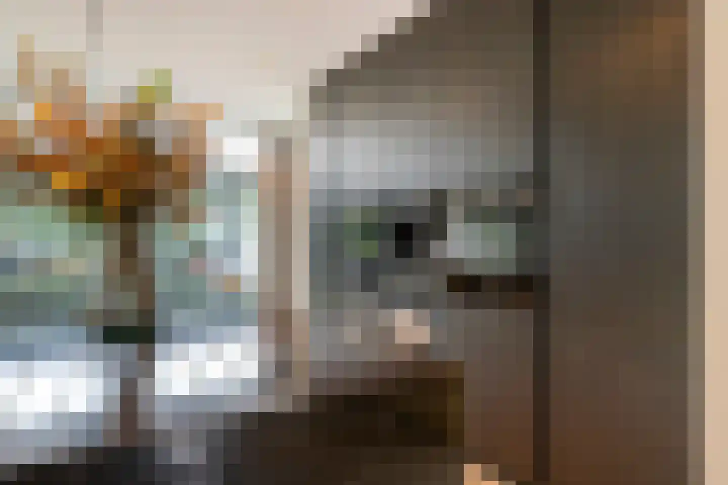 Broekhovenpad 2 Nieuwerbrug aan den Rijn thumbnail 25