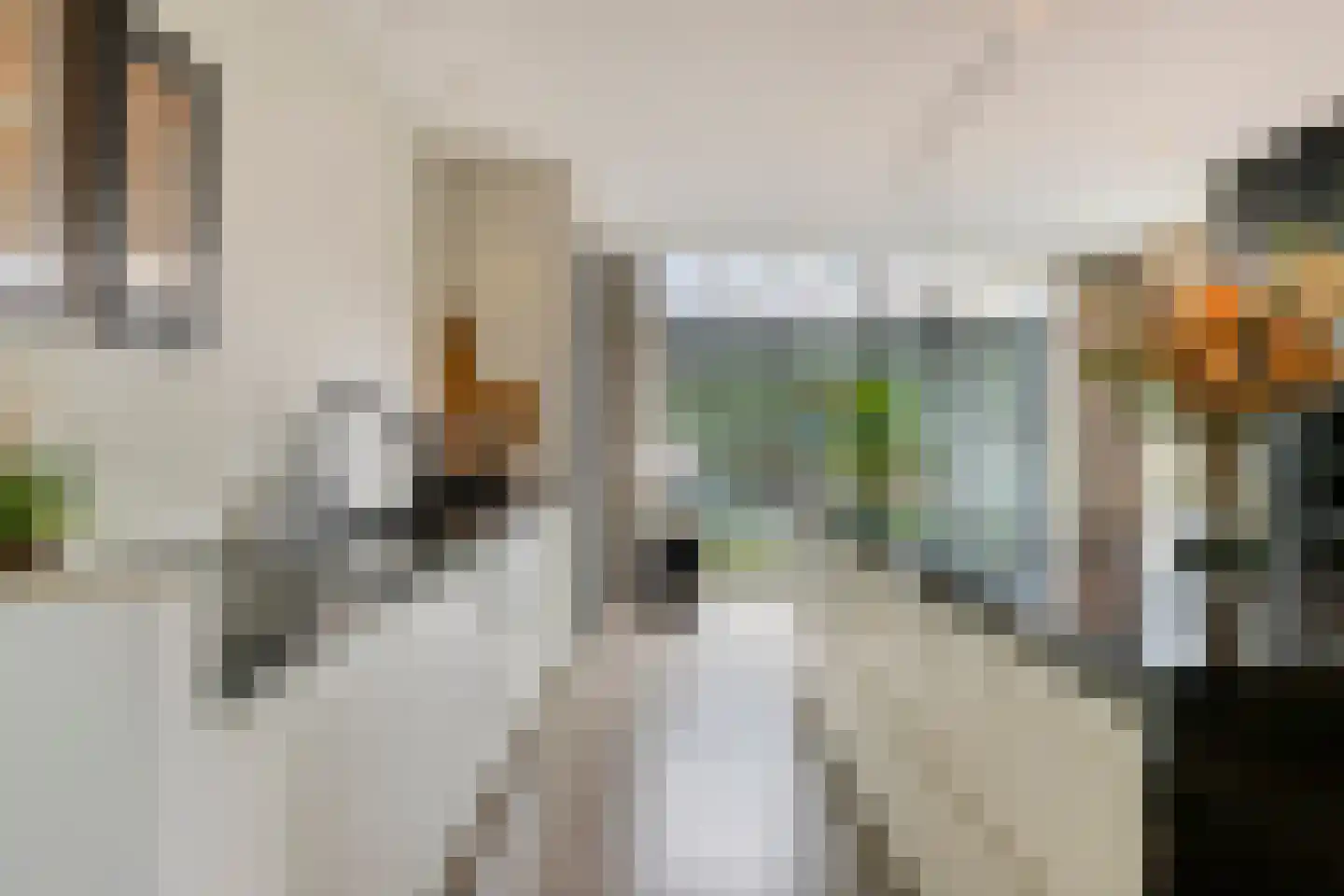 Broekhovenpad 2 Nieuwerbrug aan den Rijn thumbnail 5