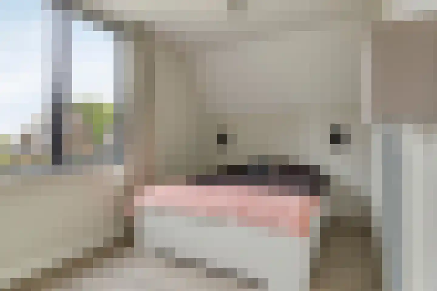 Broekhovenpad 2 Nieuwerbrug aan den Rijn thumbnail 54