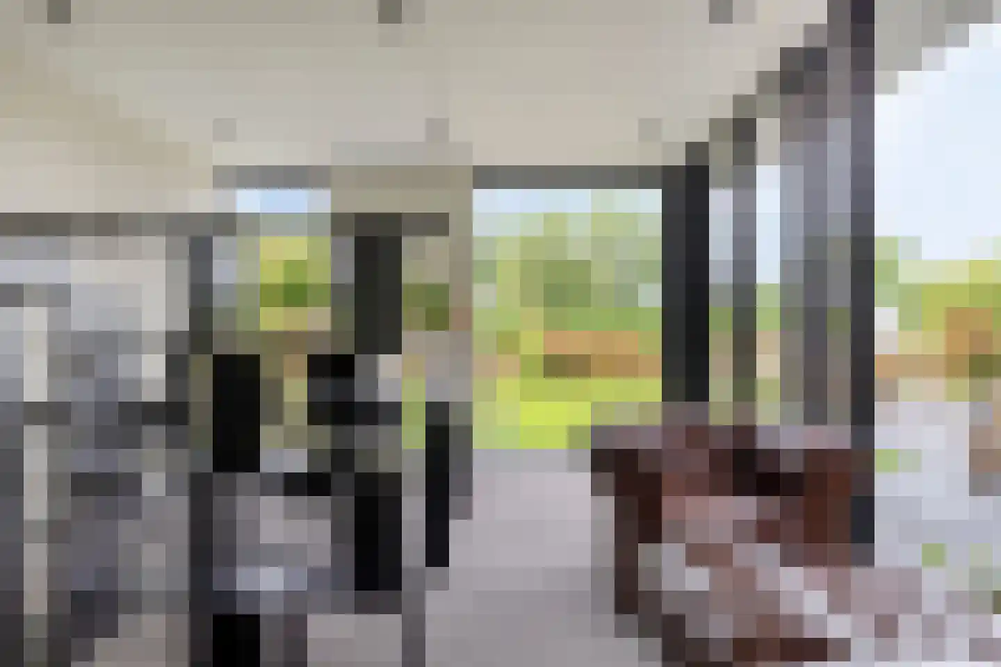Broekhovenpad 2 Nieuwerbrug aan den Rijn thumbnail 65