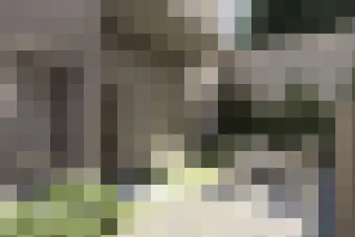 Broekhovenseweg 122 Tilburg thumbnail 9