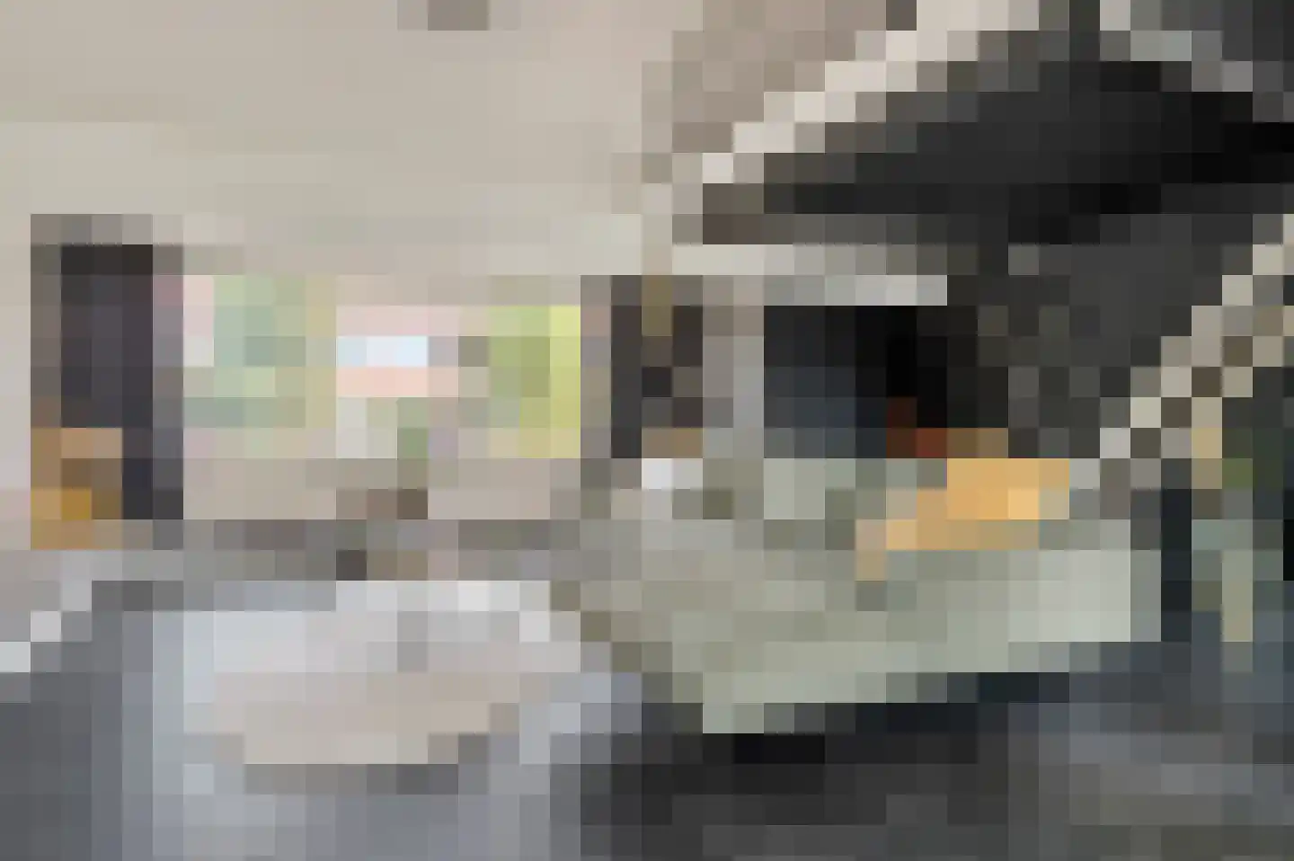 Broekhovenseweg 47 Tilburg thumbnail 6