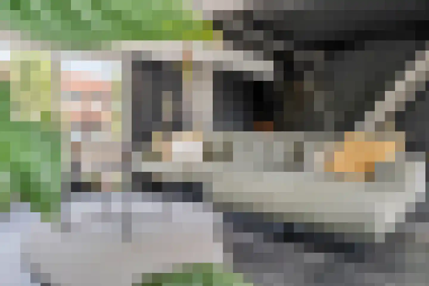 Broekhovenseweg 47 Tilburg thumbnail 7