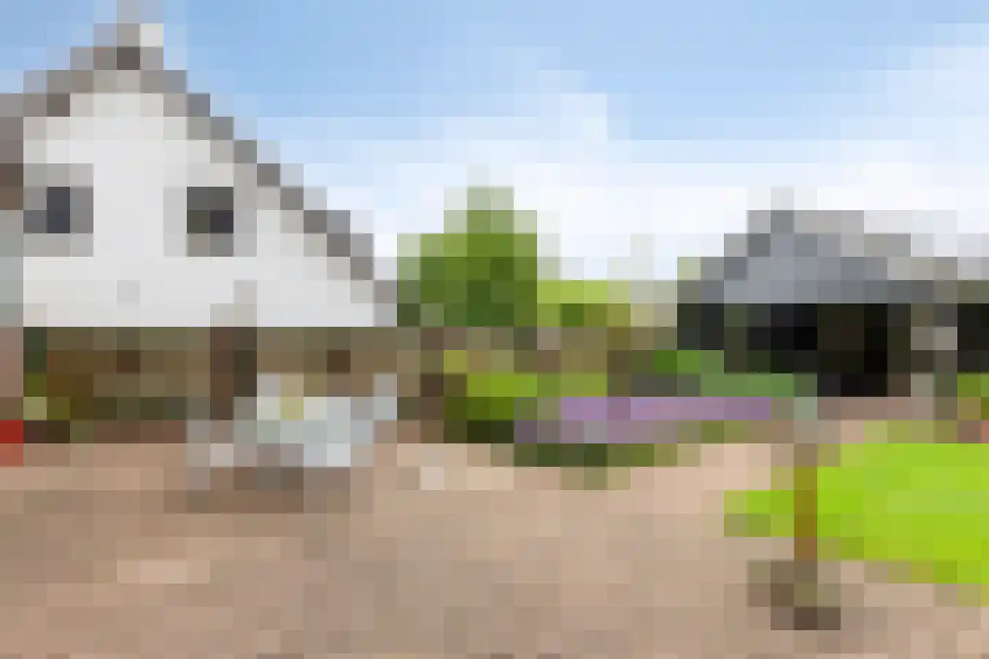 Broekhovenseweg 5 Riethoven thumbnail 36