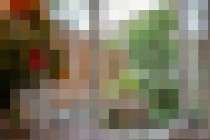 Broekhovenseweg 9 Tilburg thumbnail 27