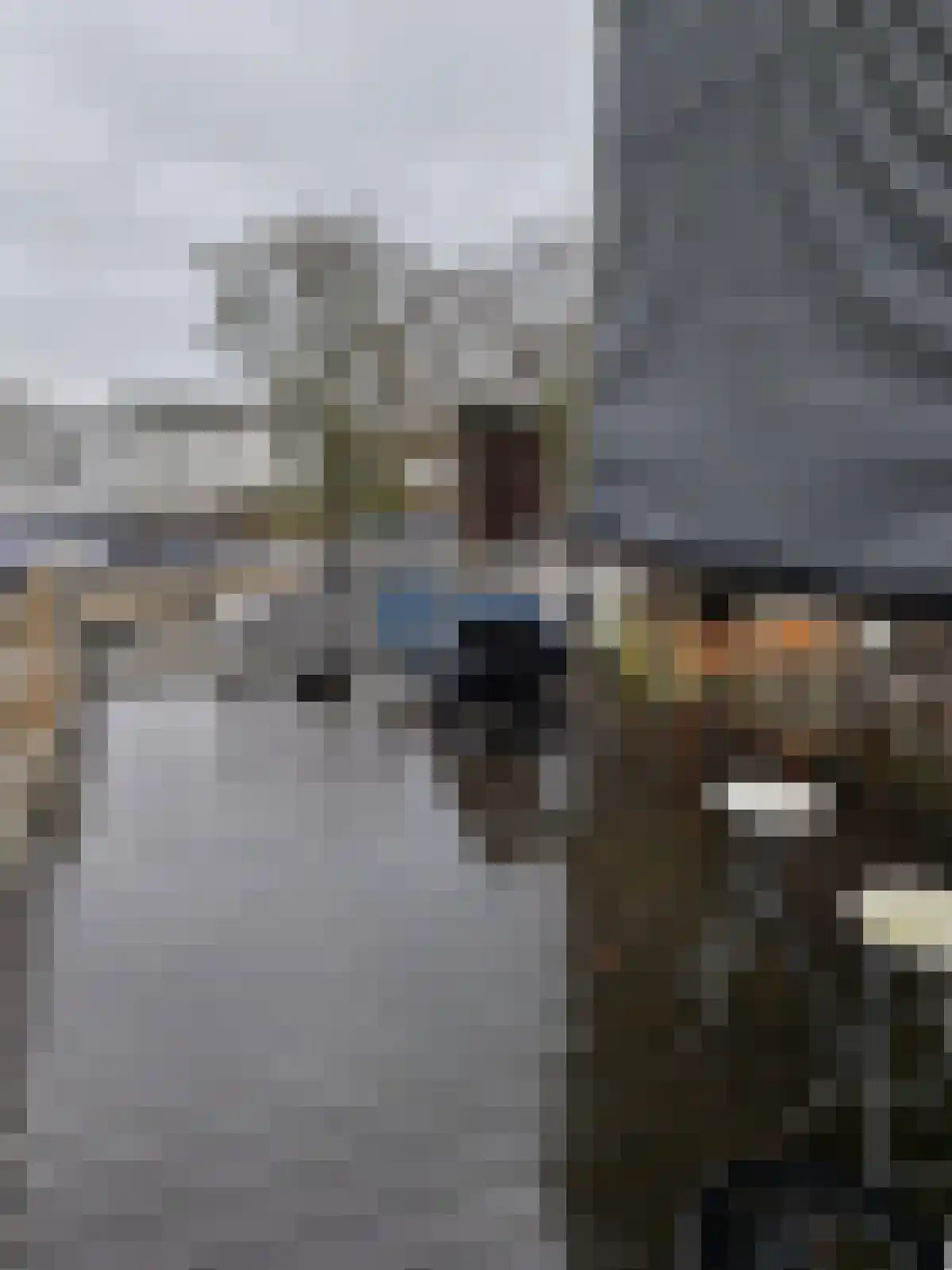 Broekhovenseweg Tilburg thumbnail 6