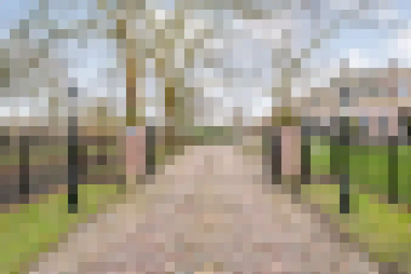Broekhuizen 18 Broekhuizen thumbnail 14