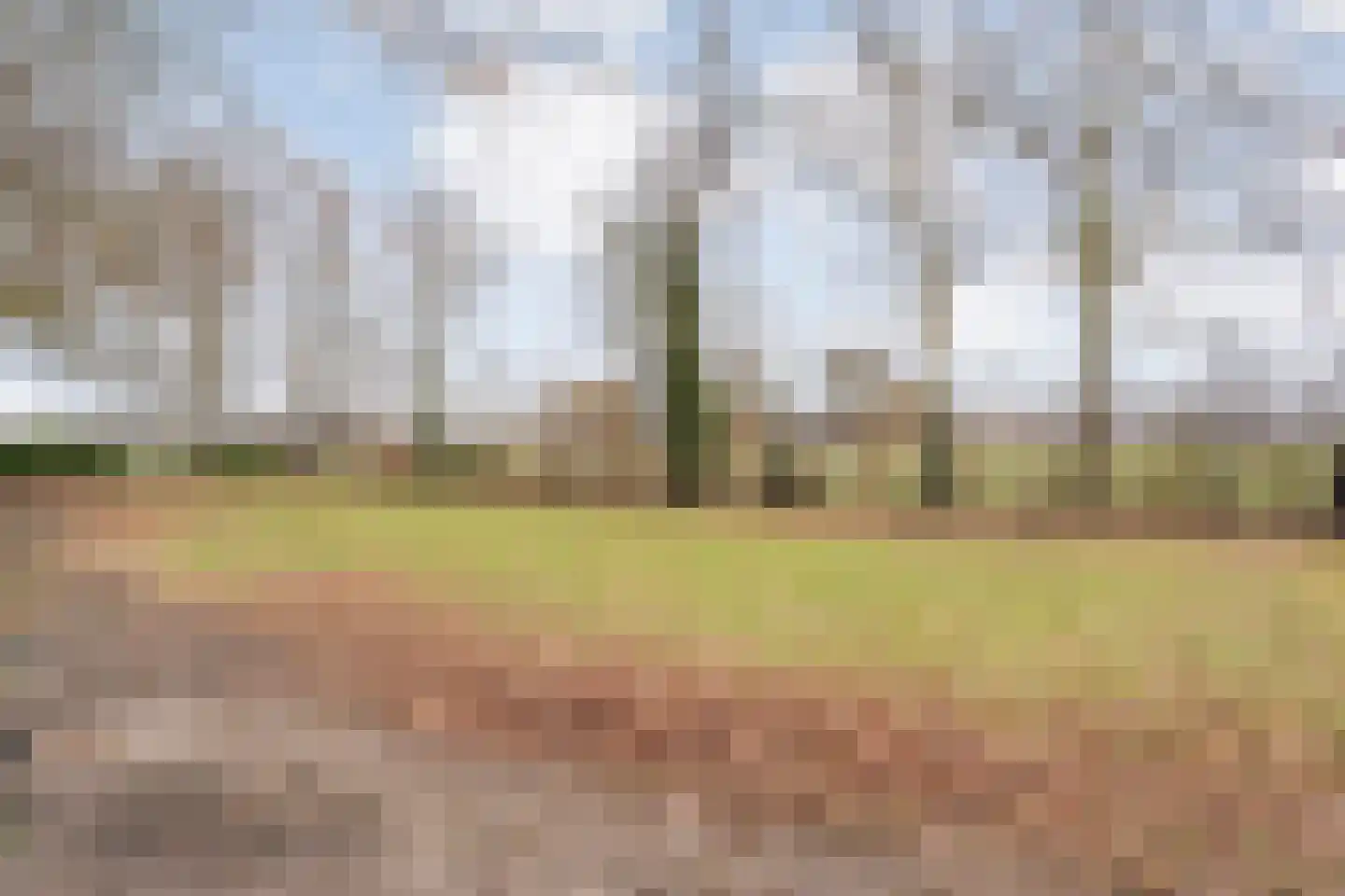 Broekhuizen 18 Broekhuizen thumbnail 17