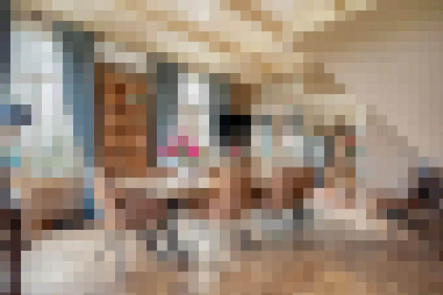 Broekhuizen 18 Broekhuizen thumbnail 35