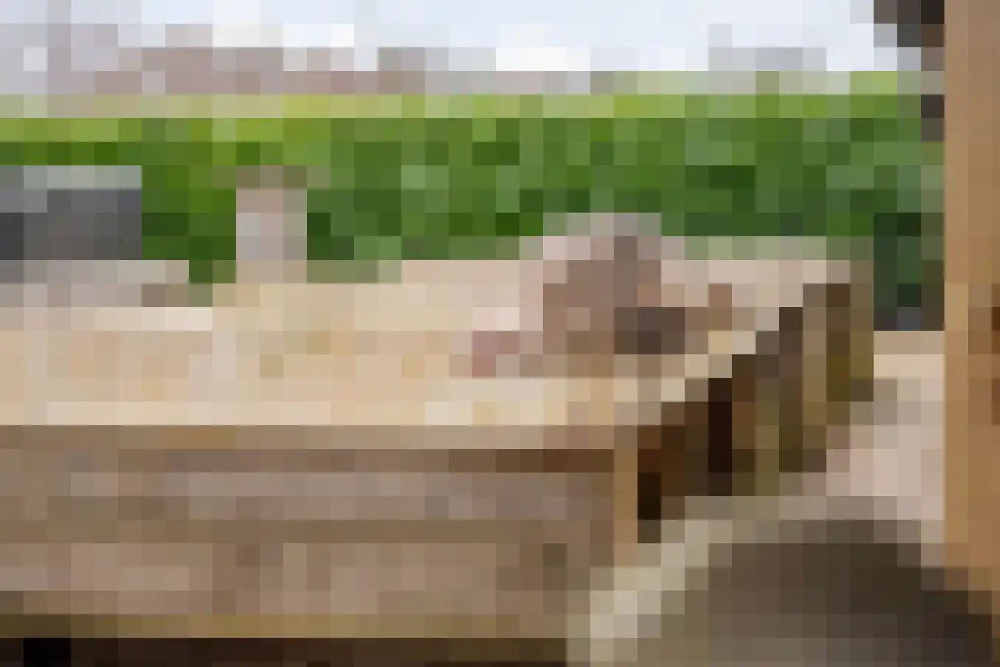 Broekhuizen 18 Broekhuizen thumbnail 71