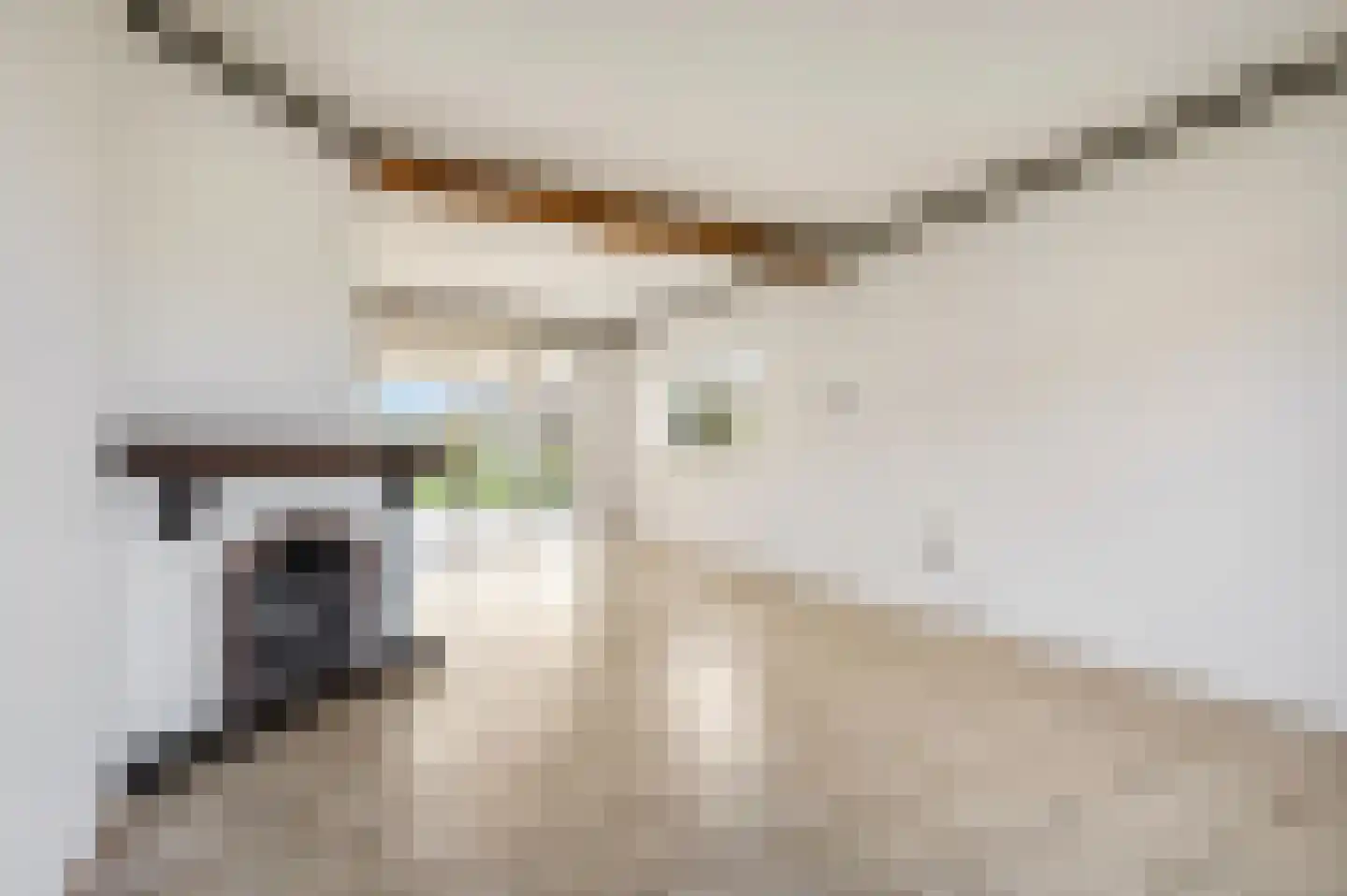 Broekhuizenstraat 15 Terschuur thumbnail 11