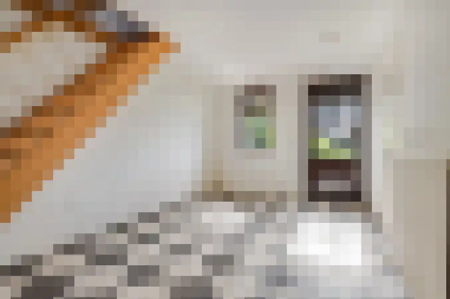Broekhuizenstraat 15 Terschuur thumbnail 41