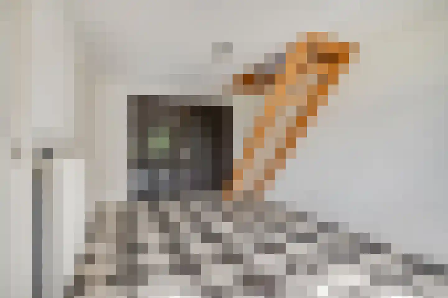 Broekhuizenstraat 15 Terschuur thumbnail 42
