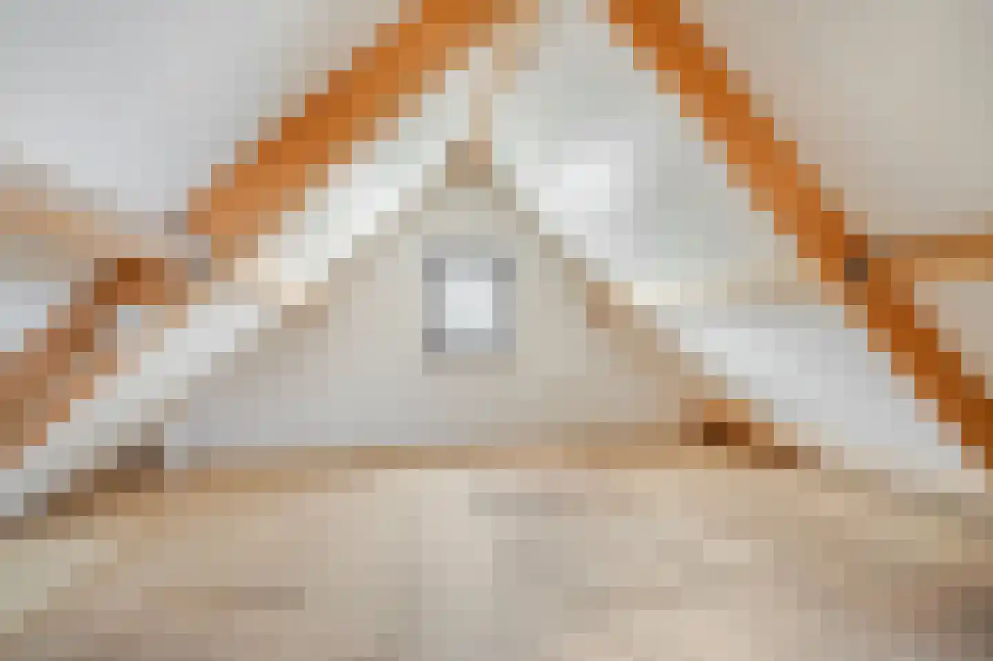 Broekhuizenstraat 15 Terschuur thumbnail 43