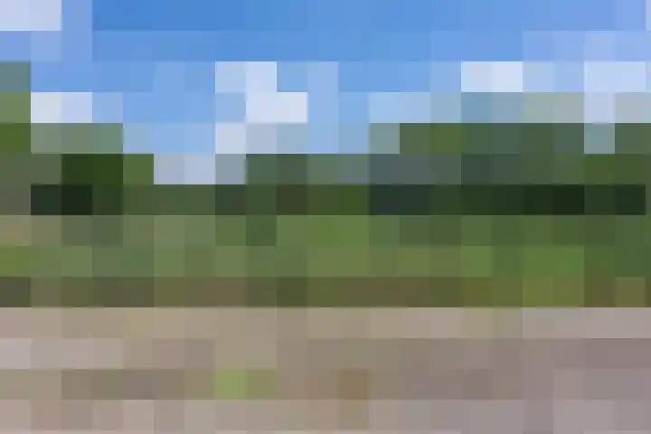 Broekhuizenstraat 18 Landgraaf thumbnail 25