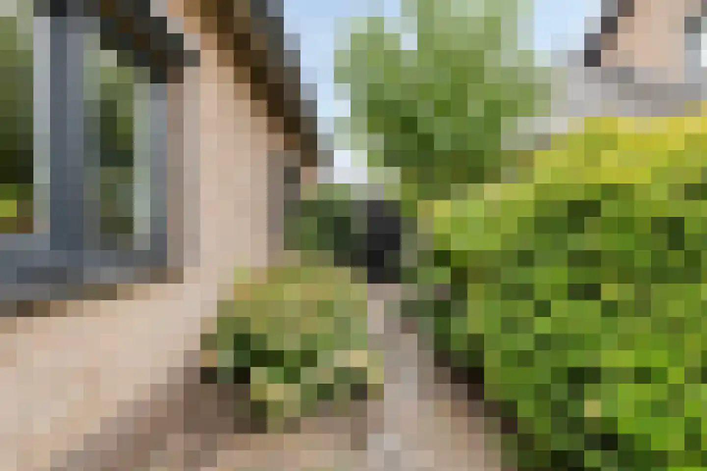 Broekhuizenstraat 25 Terschuur thumbnail 10