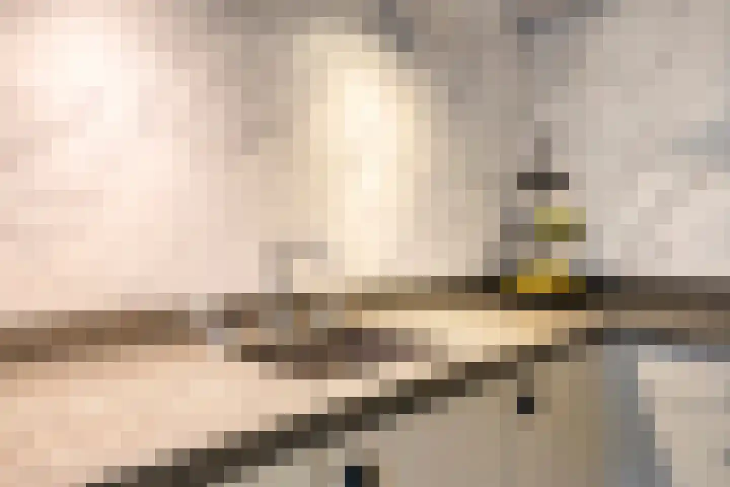 Broekhuizenstraat 25 Terschuur thumbnail 23