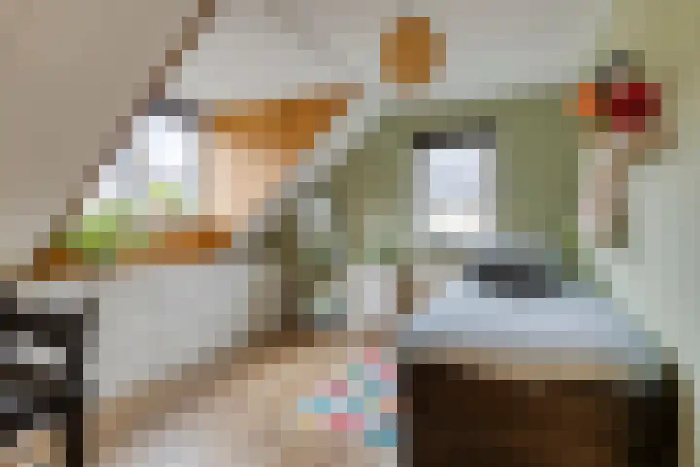 Broekhuizenstraat 25 Terschuur thumbnail 54