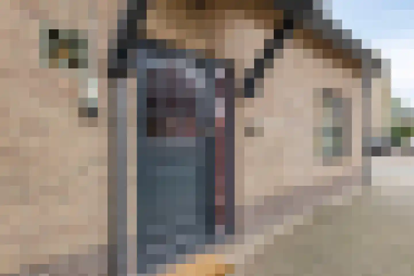 Broekhuizenstraat 25 Terschuur thumbnail 7