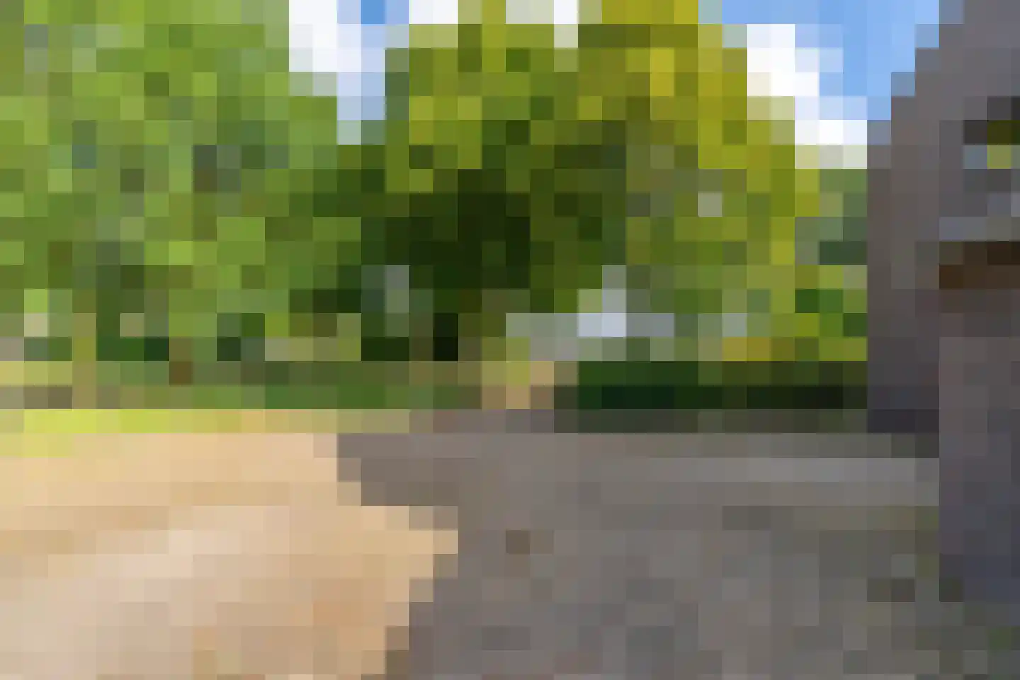 Broekhuizerdijk 48 Melderslo thumbnail 11