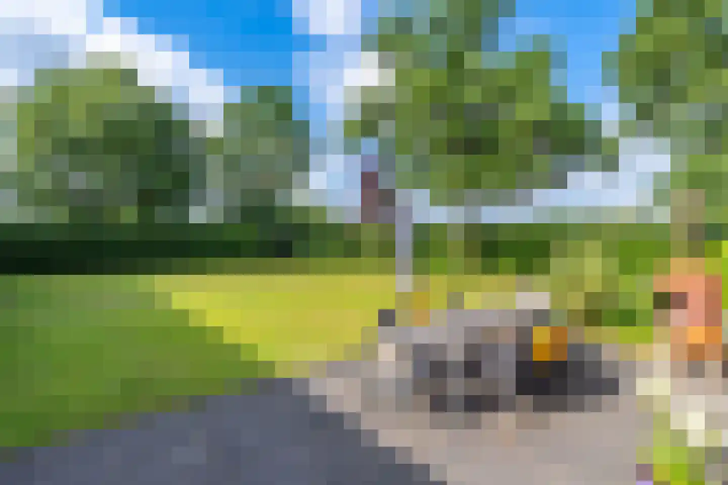 Broekhuizerdijk 48 Melderslo thumbnail 12