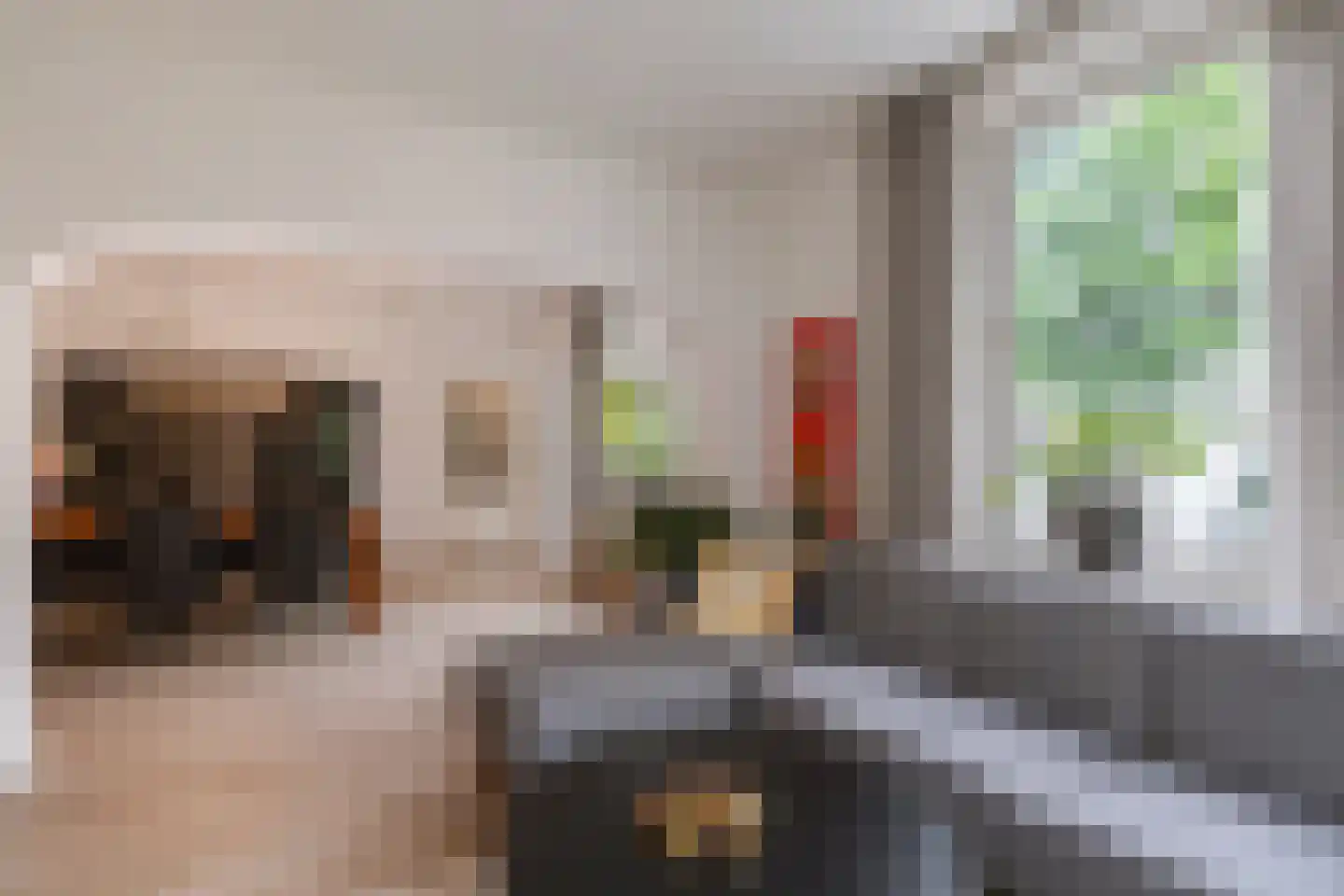 Broekhuizerdijk 48 Melderslo thumbnail 32