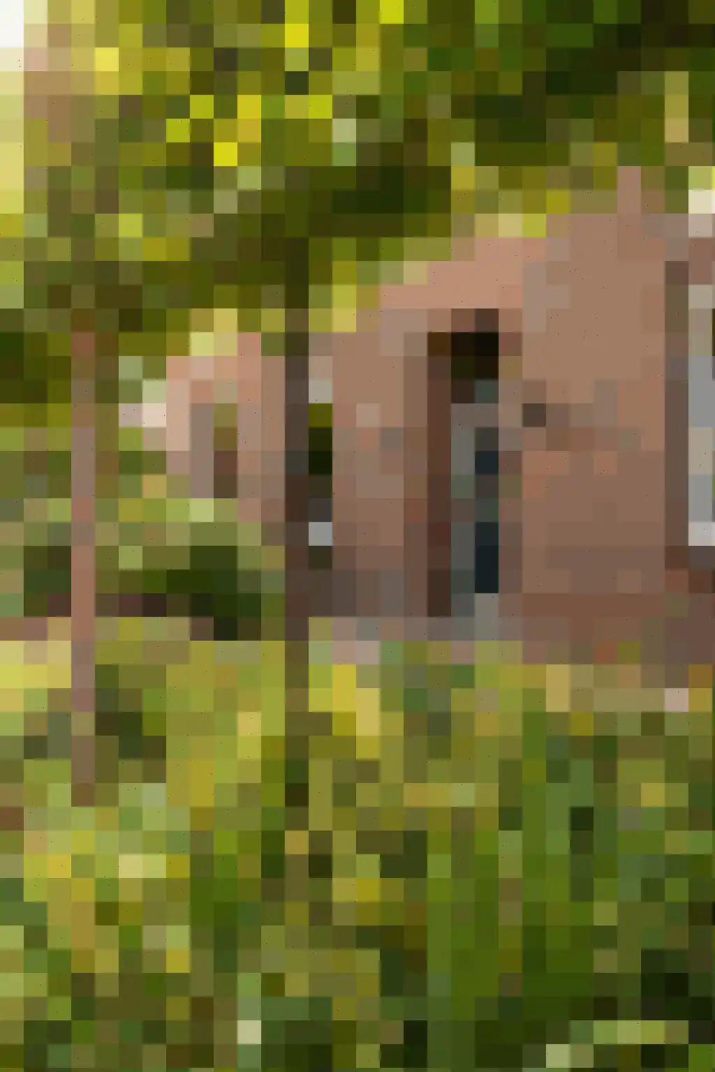 Broekhuizerdijk 48 Melderslo thumbnail 5