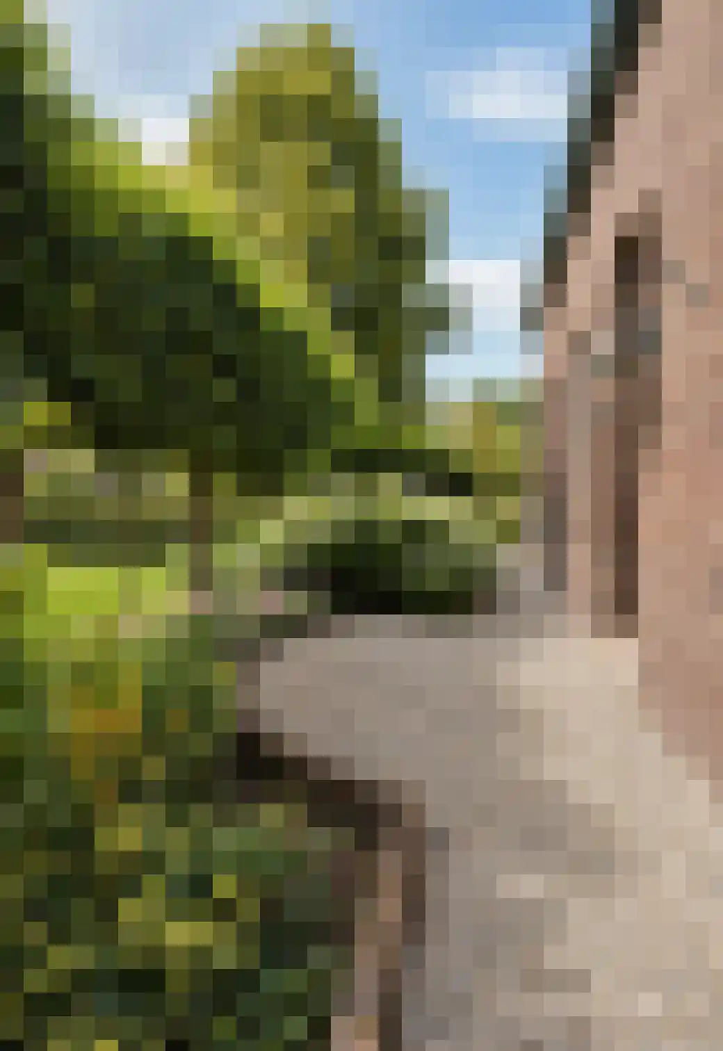 Broekhuizerdijk 48 Melderslo thumbnail 6