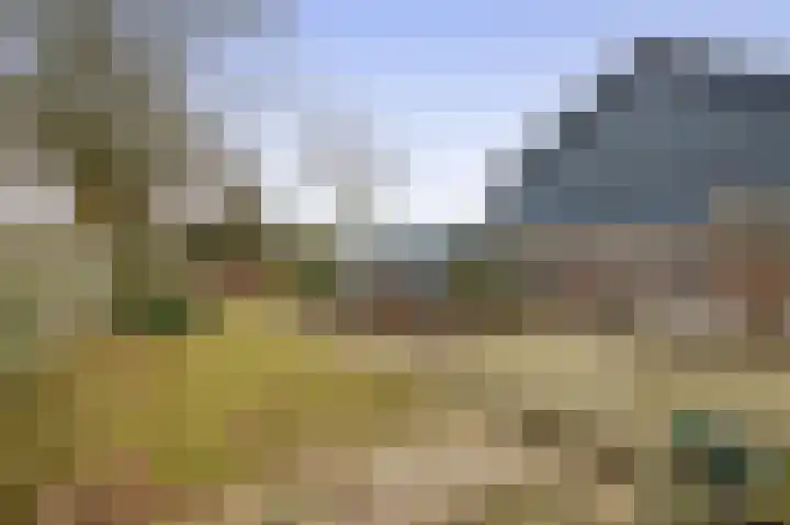 Broekhuizerweg 19 a Lottum thumbnail 15