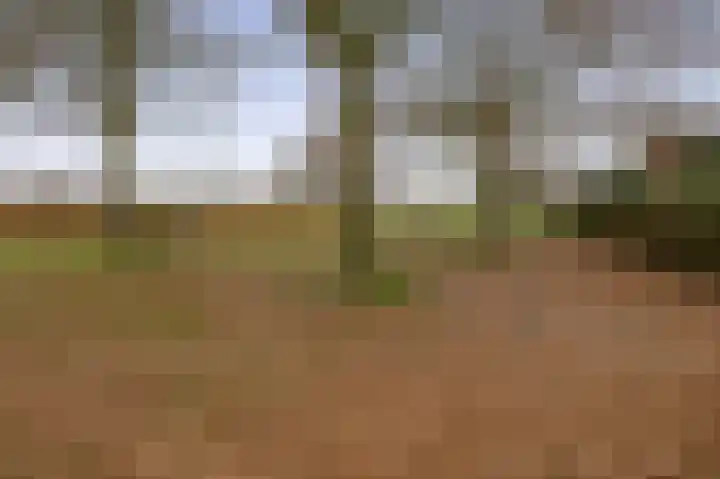 Broekhuizerweg 19 a Lottum thumbnail 33