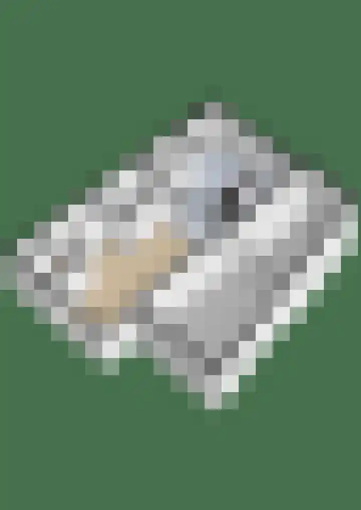 Broekhuizerweg 19 a Lottum thumbnail 37