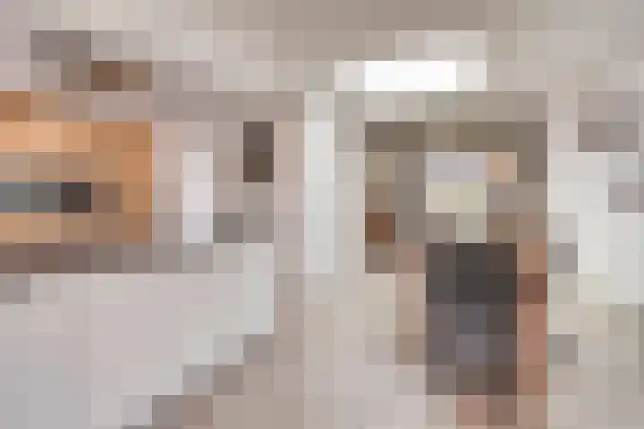 Broekhuizerweg 20 Lottum thumbnail 15