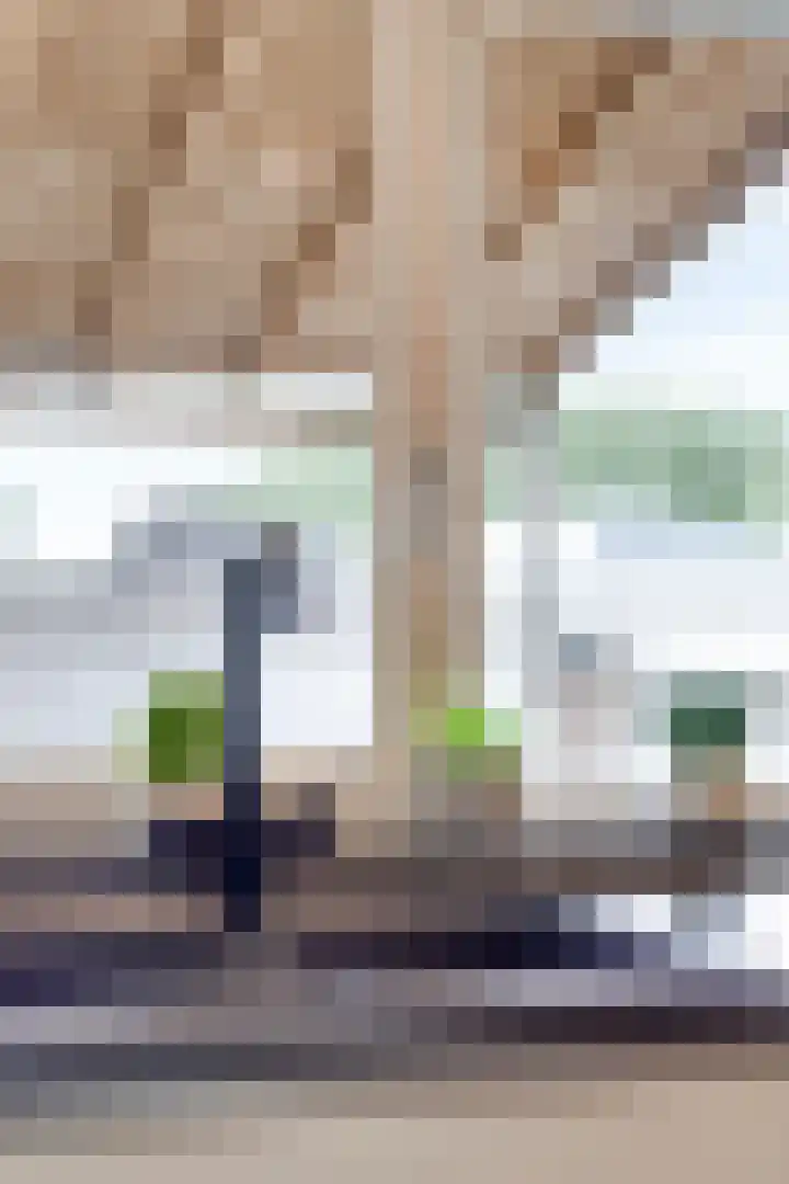 Broekhuizerweg 20 Lottum thumbnail 19