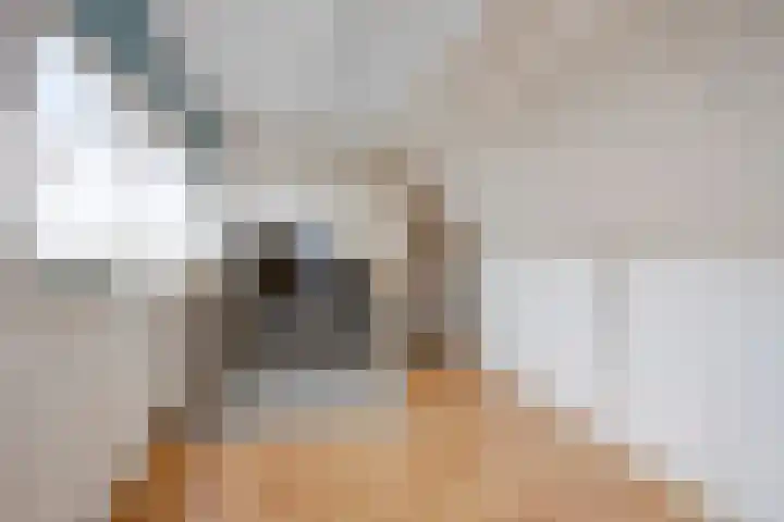 Broekhuizerweg 20 Lottum thumbnail 28