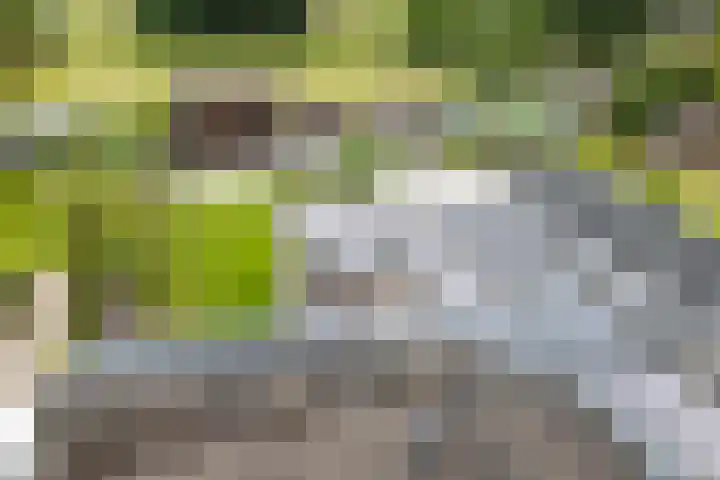 Broekhuizerweg 20 Lottum thumbnail 32
