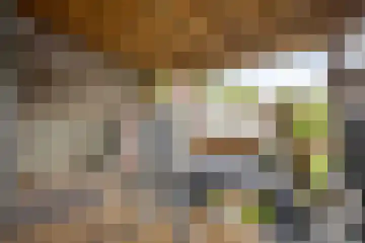 Broekhuizerweg 20 Lottum thumbnail 34