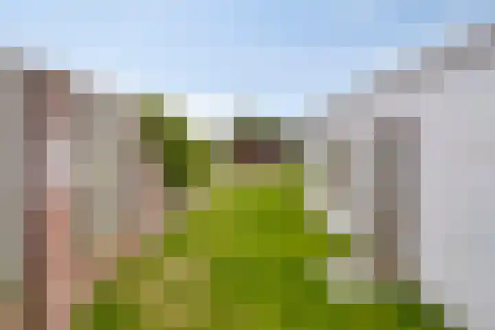 Broekhuizerweg 20 Lottum thumbnail 35