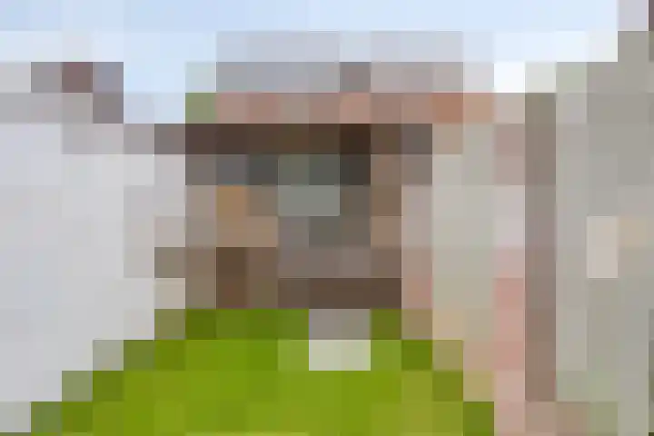 Broekhuizerweg 20 Lottum thumbnail 36