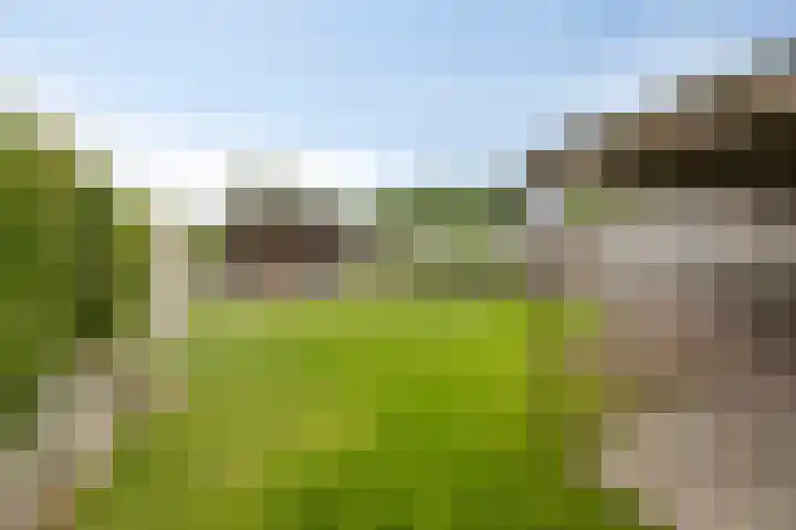 Broekhuizerweg 20 Lottum thumbnail 37