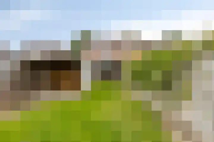 Broekhuizerweg 20 Lottum thumbnail 38