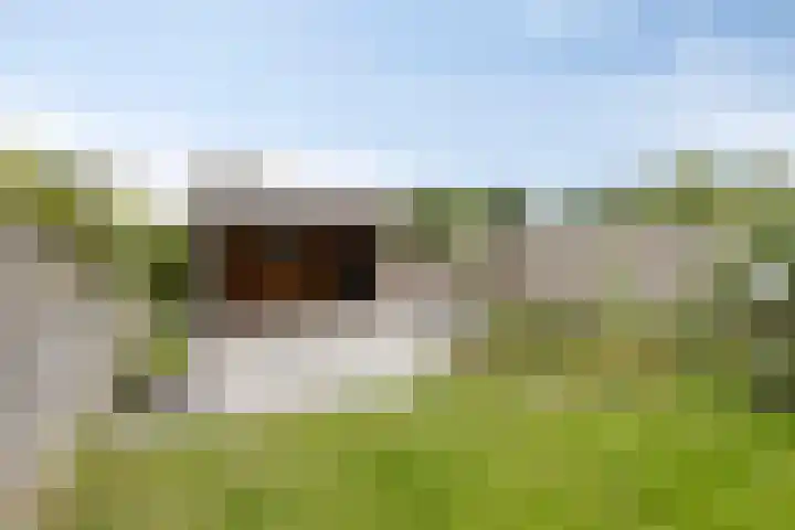 Broekhuizerweg 20 Lottum thumbnail 39