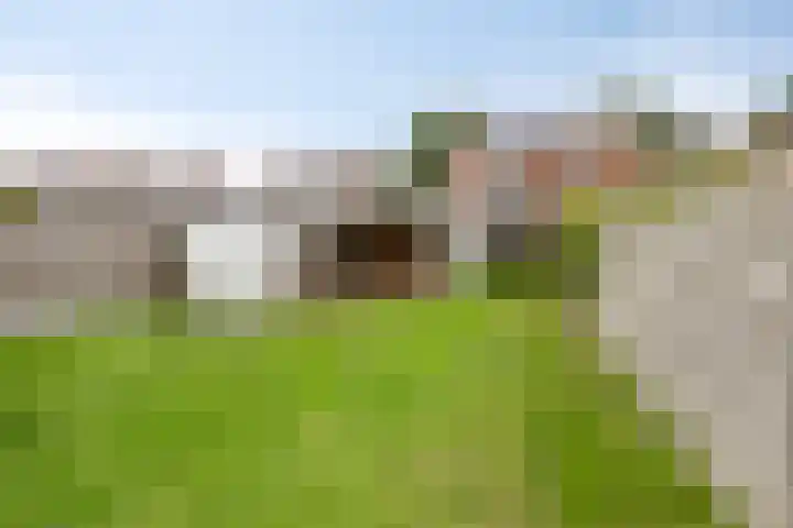Broekhuizerweg 20 Lottum thumbnail 42
