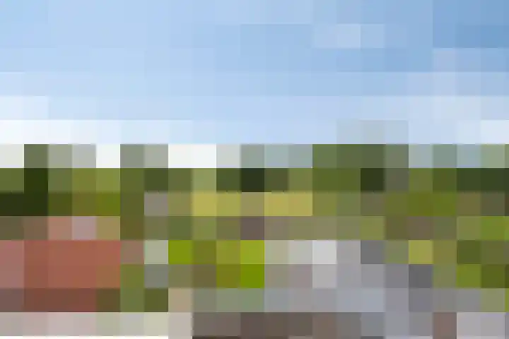 Broekhuizerweg 20 Lottum thumbnail 44