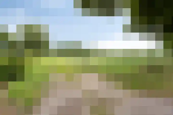 Broekhuizerweg 20 Lottum thumbnail 45