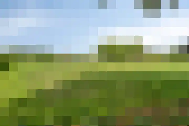 Broekhuizerweg 20 Lottum thumbnail 47