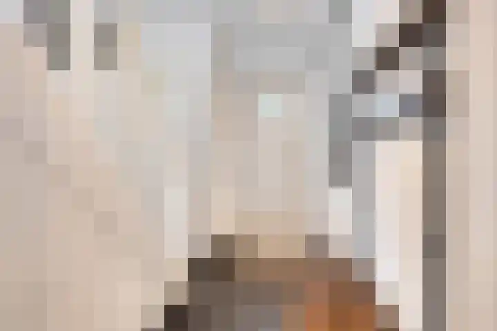 Broekhuizerweg 20 Lottum thumbnail 9