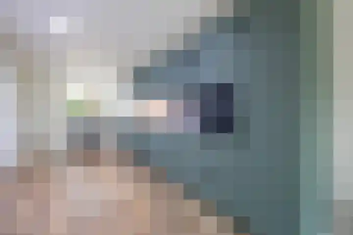 Broekhuizerweg 24 Lottum thumbnail 11
