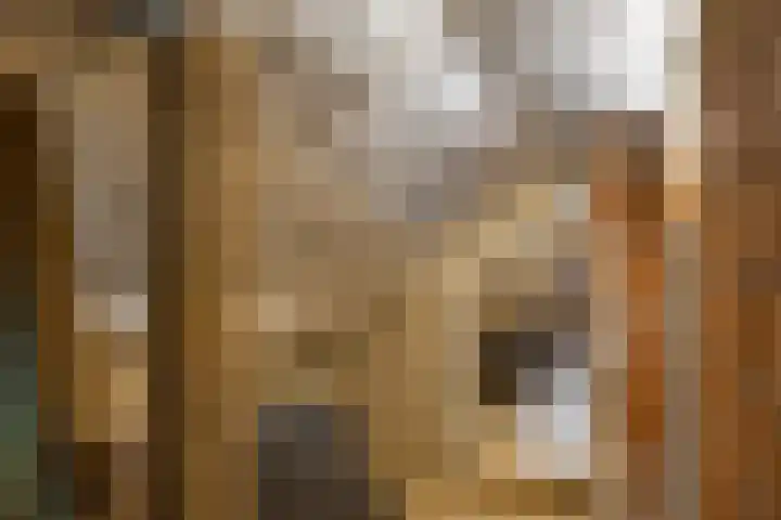 Broekhuizerweg 24 Lottum thumbnail 31