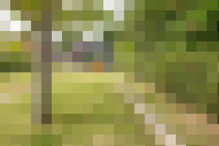 Broekhuizerweg 24 Lottum thumbnail 32